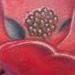 Tattoos - Magnolia flower color tattoo - 79992